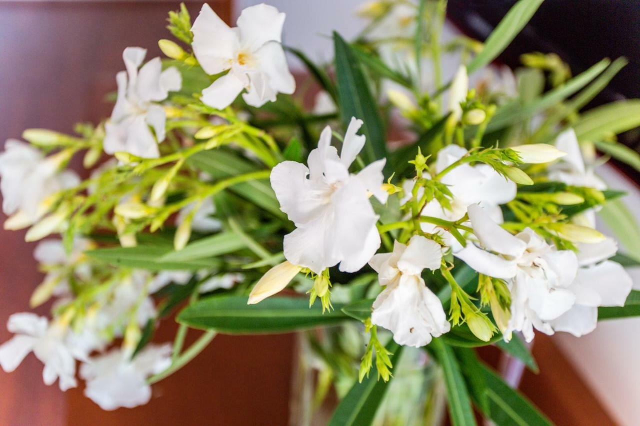 Apartment Lavender Of Budva Ngoại thất bức ảnh
